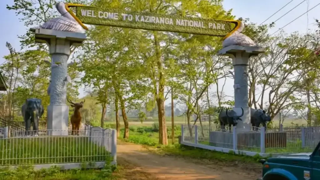 Kaziranga on day 1 of Assam Delight (Kaziranga 2N + Jorhat 1N + Dibrugarh 2N)